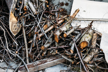 A pile of fruit firewood outside. Cut tree branches. A dense collection of cut tree branches and twigs stacked outdoors