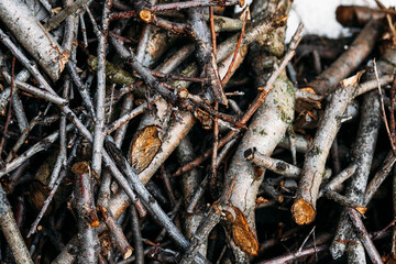 A pile of fruit firewood outside. Cut tree branches. A dense collection of cut tree branches and twigs stacked outdoors