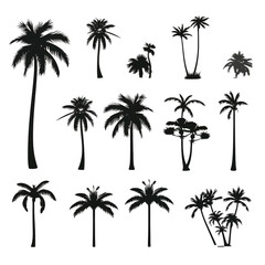 set of palm trees.png date garden effect back ground pic for  back ground use png
