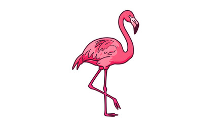 Obraz premium Elegant Pink Flamingo Cartoon Illustration