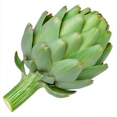 Obraz premium Single Artichoke Closeup Studio Shot