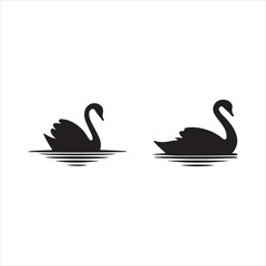 two swans on the water
