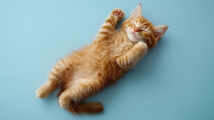 Golden-orange tabby kitten lounges on its back against a serene light blue backdrop; eyes closed in blissful relaxation, embodying pure kittenhood charm