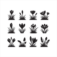 set of vector floral elements