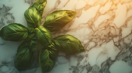 Fresh Basil Leaves on Marble Countertop with Golden Light