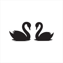 duck swans on the water