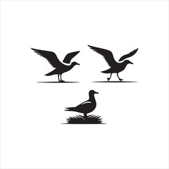 set of silhouettes of birds