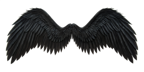 Spread Black Dark Demon Feather Angel Wings on White, Eerie Dark Wings, Demon Angel Wings on White Background, PNG Transparent