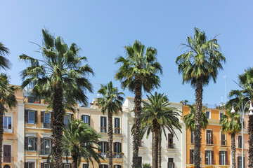 Fototapeta premium The Old Town of city of Bari, Italy