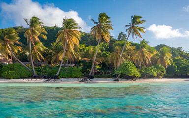 Fototapeta premium tropical beach with palm trees and blue sky