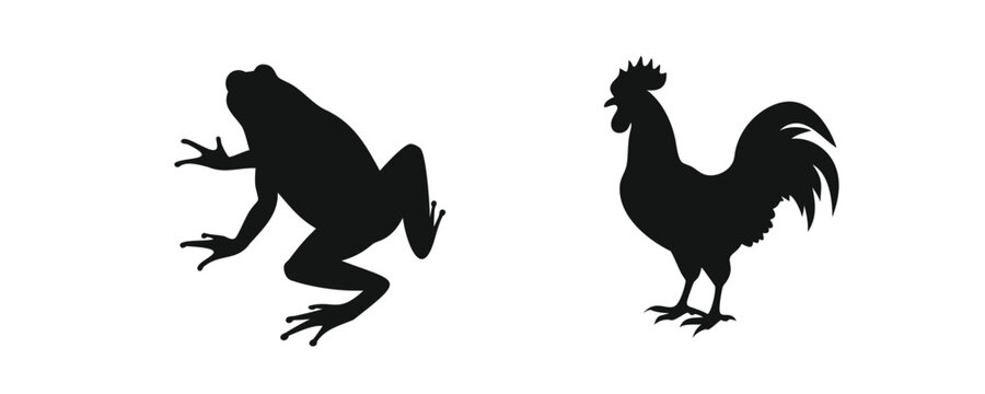 vector illustration of a chicken and froge