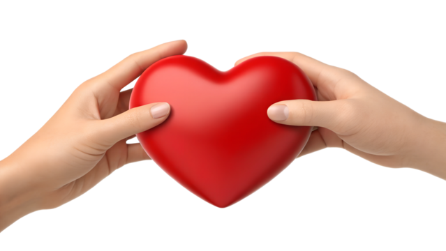 3D Illustration of Two Hands Holding a Red Heart, Heart Held by Hands, Gesture of Love and Affection, PNG Transparent