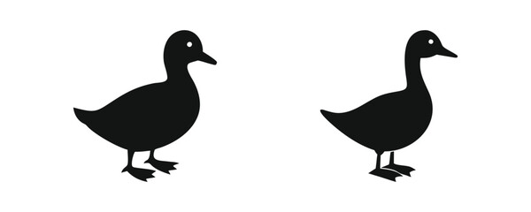 Fototapeta premium Duck Black Silhouette on white Background