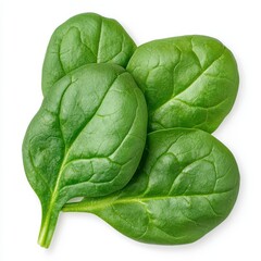 Fototapeta premium Three Fresh Green Spinach Leaves on White Background