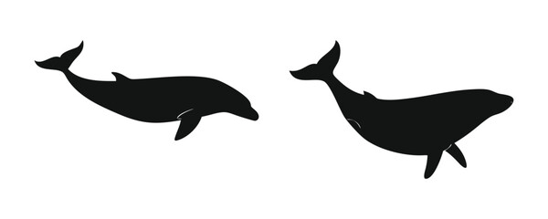 Dolphin Black Silhouette  on white Background
