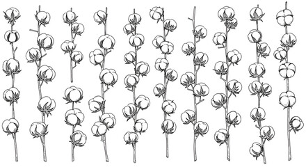 Black and White Cotton Branch Line Art