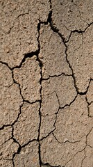 Fototapeta premium A Highly Detailed Macro Photograph Of A Cracked And Weathered Concrete Wall, Featuring A Rich Palette Of Muted Browns, Grays And Hints Of Ochre, Exhibiting A Natural, Rough Texture, .