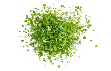 Obraz premium Finely Chopped Fresh Green Herbs Isolated on Transparent Background