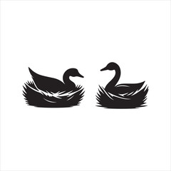 Obraz premium two swans on a black
