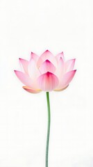 Fototapeta premium A Minimalist Wallpaper Showcasing A Single, Perfectly Formed Lotus Flower In Soft Pastel Colors, Painted In A Watercolor Style With A Clean Background And A Slightly Blurred Effect F.