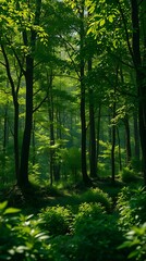 Obraz premium A Photorealistic Digital Rendering Of A Lush Green Forest, With Dappled Sunlight Filtering Through The Leaves, Showcasing Vibrant Greens, Deep Browns And Pops Of Yellow, Using A Shal.