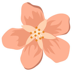 Minimalist Hand Drawn Single Flower Illustration