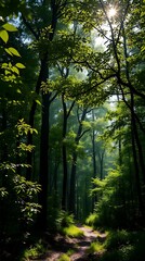 Fototapeta premium A Photorealistic Wallpaper Depicting A Lush Green Forest With Sunlight Dappling Through The Leaves, Showcasing A Detailed Rendering Of Textures And A Shallow Depth Of Field, Creating.