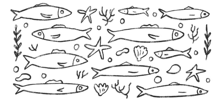 Fishes line doodle set. Sardines hand drawn scribble School of fish in the sea. Vector monochrome nautical illustration by pencil isolated on white background. Crayon or chalk naive underwater life.