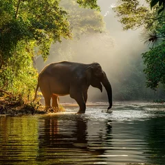 Poster de jardin  a massive elephant stands at the edge of a crystal-clear river  © ZTUDIOTOTO