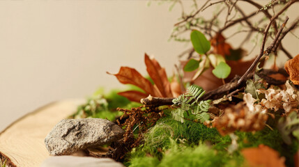 Fototapeta premium A close-up of nature-inspired decor with leaves and branch 