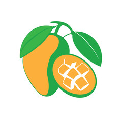 Mango fruit vector trendy design illustration logo business.
