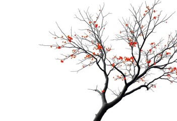 Single deciduous tree, stark branches against pure white, serene, artwork