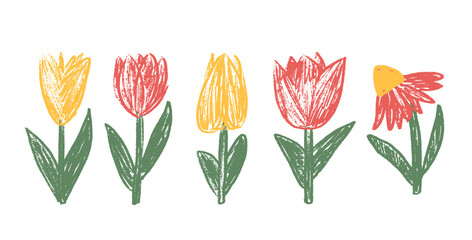 Tulip flowers crayon drawn set. Spring crocus plants doodle. Summer floral kids elements. Chalk or pastel style childish shape. Vector naive pencil illustration isolated on white background.