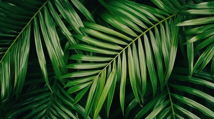 Exotic Greenery and Tropical Plants: Lush Palm Leaves for Nature-Inspired Interiors & Eco-Friendly Design