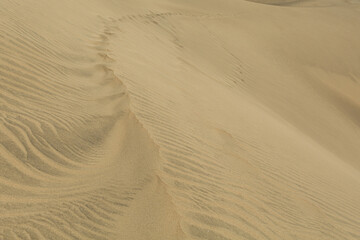 Fototapeta premium Textured Sand Dune Landscape