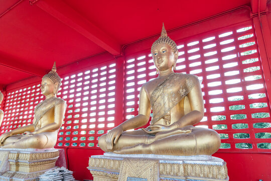 Several golden statues of Buddha in meditation posture are lined up in a corridor in front of a red wall. The red wall provides a contrast to the golden statues, adding visual impact. - Powered by Adobe