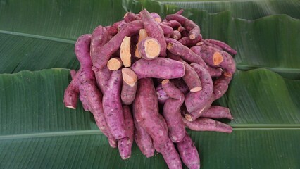 Purple sweet potatoes orange flesh sweet flavor gathered from the organic garden and arranged on banana leaves.