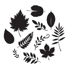 Fototapeta premium Minimalist Botanical Leaf Illustration for Modern Designs