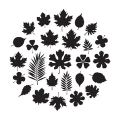 Minimalist Botanical Leaf Illustration for Modern Designs