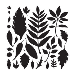 Minimalist Botanical Leaf Illustration for Modern Designs