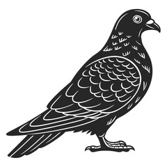 Pigeon Parrot Silhouette vector illustration