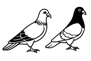 Obraz premium Pigeon Parrot Silhouette vector illustration