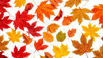 Obraz premium Colorful fallen leaves arranged on a surface in autumn, showcasing vibrant hues and the beauty of fall. 