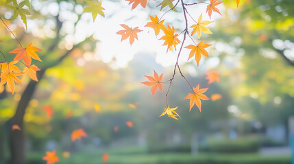 Obraz premium Vibrant autumn leaves in a serene park, capturing nature's quiet beauty and seasonal transition
