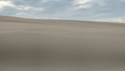 Sandy dunes of Łeba stretch toward the horizon. Golden waves of sand create a desert-like landscape against the Baltic backdrop, crowned with sparse beach grass.