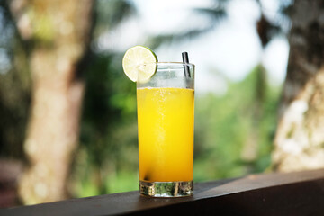 A glass of fresh ice orange juice fruit with lemon piece on wooden desk in natural sunlight and tropical garden