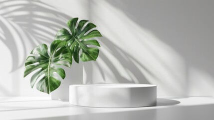 Minimalist Tropical Display: White Platform with Monstera Leaves and Sunlight Shadows