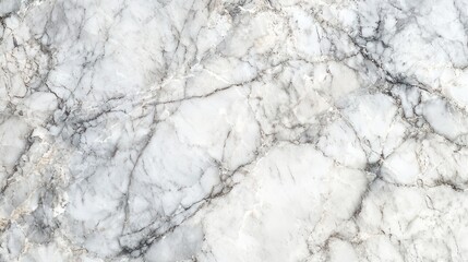 Fototapeta premium White Marble Texture with Gray Veins and Unique Patterns in Surface