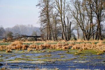 Landschaftsschutzgebiet Niersaue