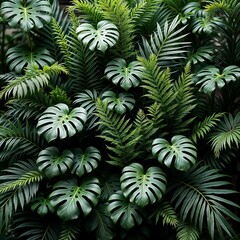A vibrant collection of tropical jungle foliage with lush green leaves and exotic plants, perfect for nature-inspired designs, botanical backgrounds, eco-friendly themes, and tropical decor concepts.